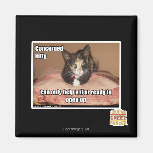 Concerned Kitty Magnet