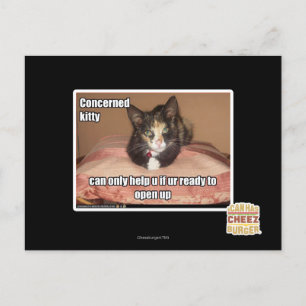 Concerned Kitty Postcard
