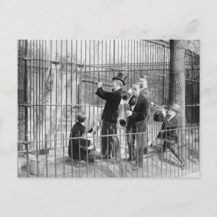 Concert For Polar Bears, 1925 Postcard
