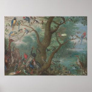 Concert of Birds - Jan van Kessel Fine Art Poster