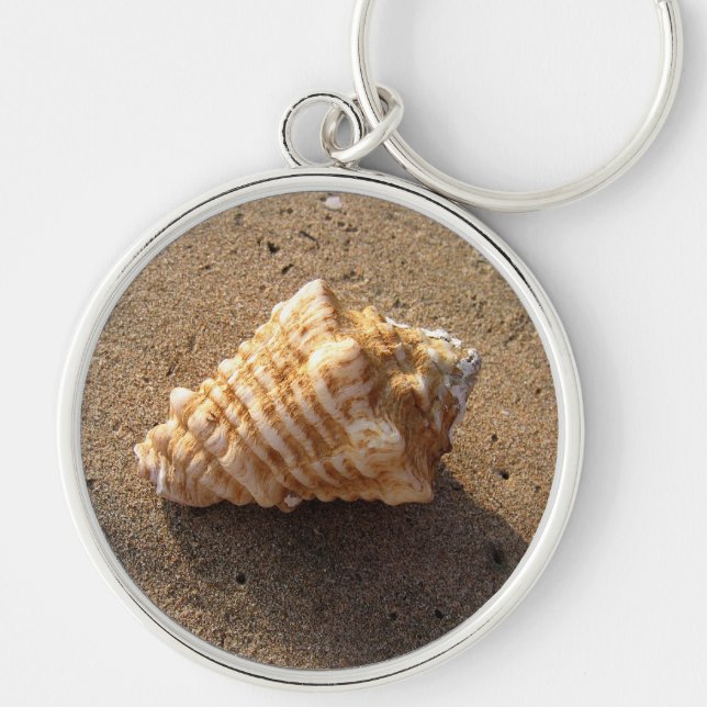 Conch Sea Shell Sand Beach Keychain (Front)