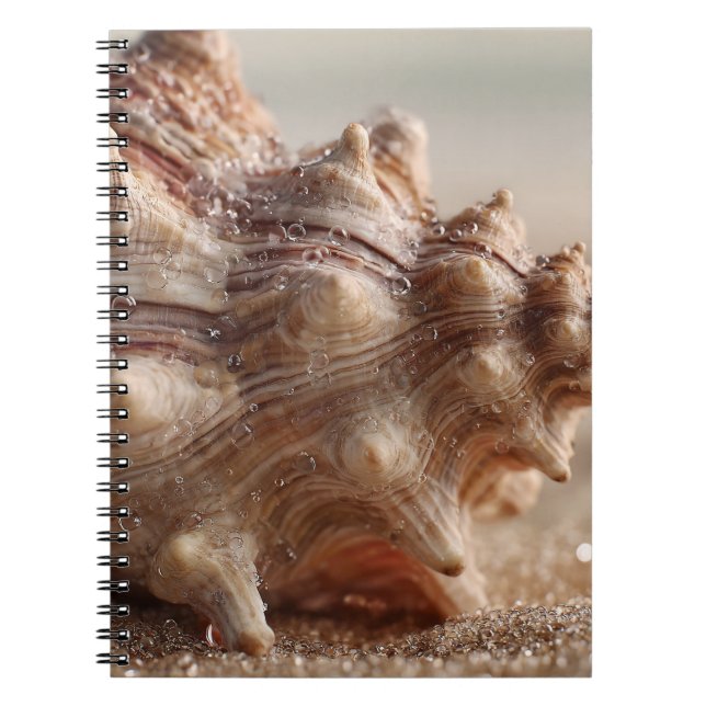 Conch Seashell Close Up Notebook (Front)
