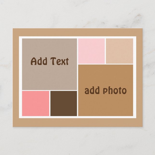 Conch Seashell Colour Blocks Postcard (Front)