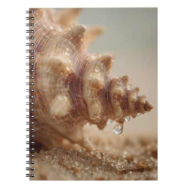 Conch Seashell with Water Drop Notebook (Front)