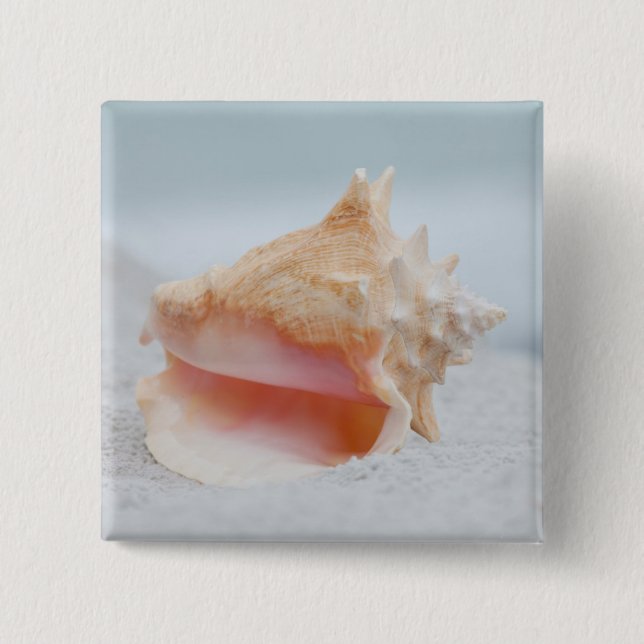 Conch Shell 15 Cm Square Badge (Front)