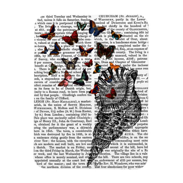Conch Shell and Butterflies 2 Magnet (Vertical)