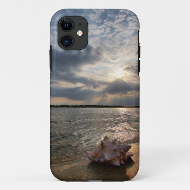 Conch Shell At Beach | St. Augustine, Fl Case-Mate iPhone Case (Back)