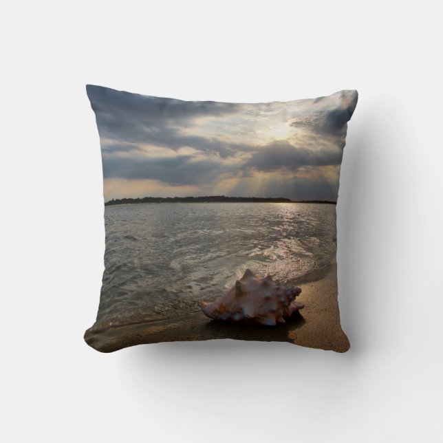 Conch Shell At Beach | St. Augustine, Fl Cushion (Front)