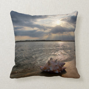 Conch Shell At Beach St. Augustine, Fl Cushion