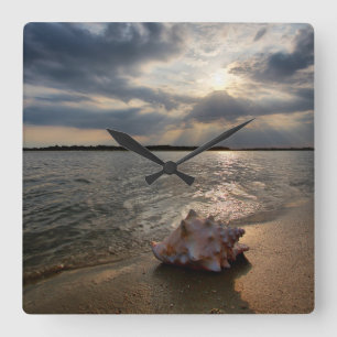 Conch Shell At Beach St. Augustine, Fl Square Wall Clock