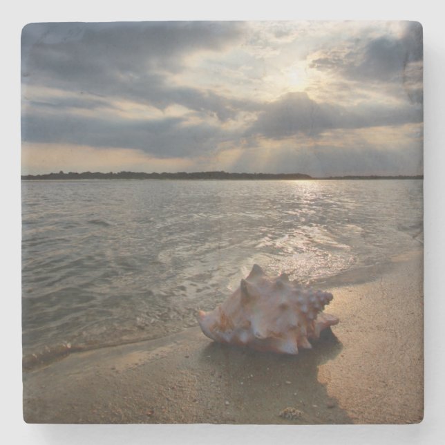 Conch Shell At Beach | St. Augustine, Fl Stone Coaster (Front)