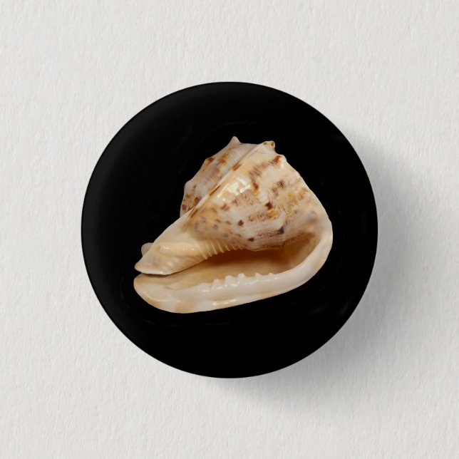Conch Shell Badge (Front)