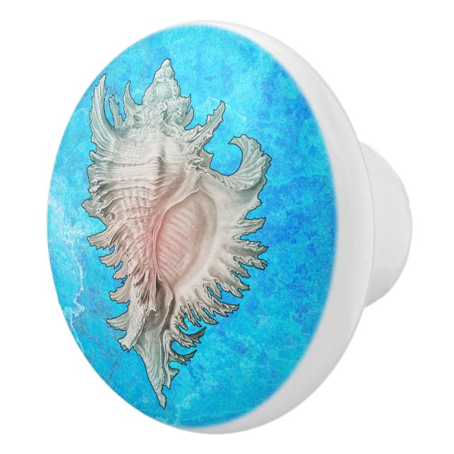 Conch Shell "Beach Life" Ceramic Knob (Right)
