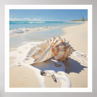 Conch shell by the beach poster