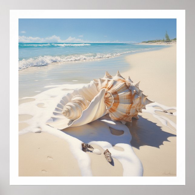Conch shell by the beach poster (Front)
