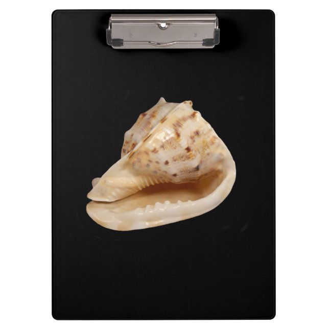 Conch Shell Clipboard (Front)