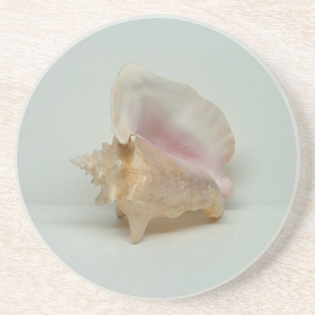 CONCH SHELL coaster (Front)