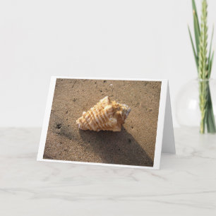Conch Shell (Colour) Card