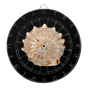Conch Shell Dart Board