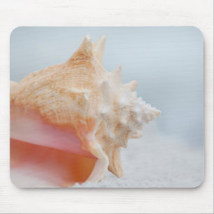 Conch Shell Florida Mouse Pad