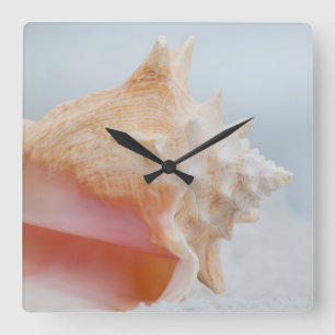 Conch Shell   Florida Square Wall Clock