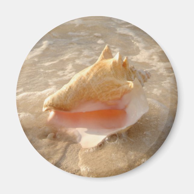 Conch Shell In Sand On Tropical Beach Magnet (Front)