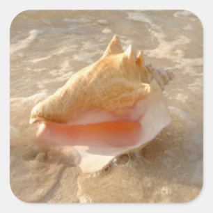 Conch Shell In Sand On Tropical Beach Square Sticker