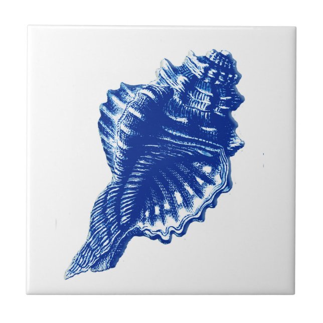 Conch Shell, Indigo Blue and White Ceramic Tile (Front)
