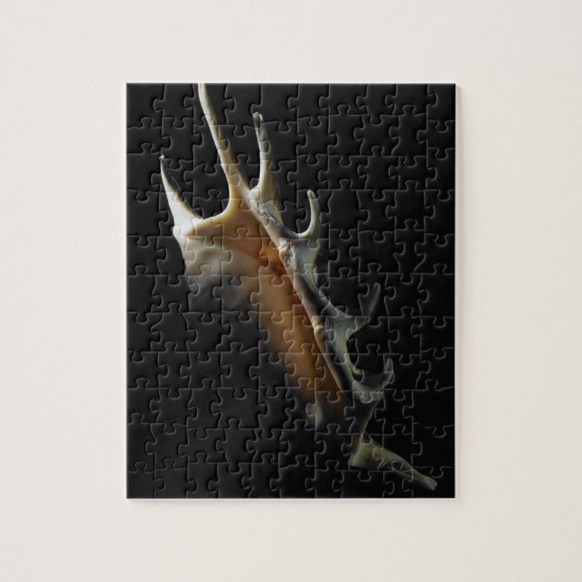 Conch shell jigsaw puzzle (Vertical)