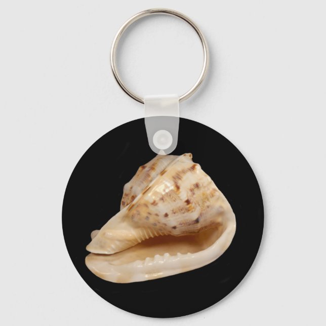 Conch Shell Key Ring (Front)