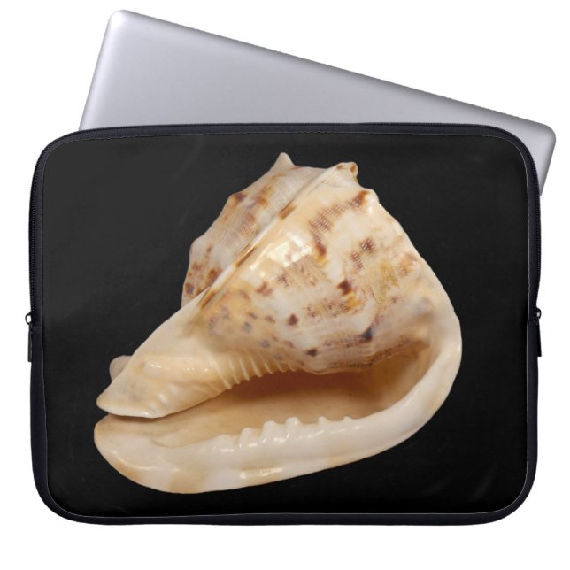 Conch Shell Laptop Sleeve (Front)