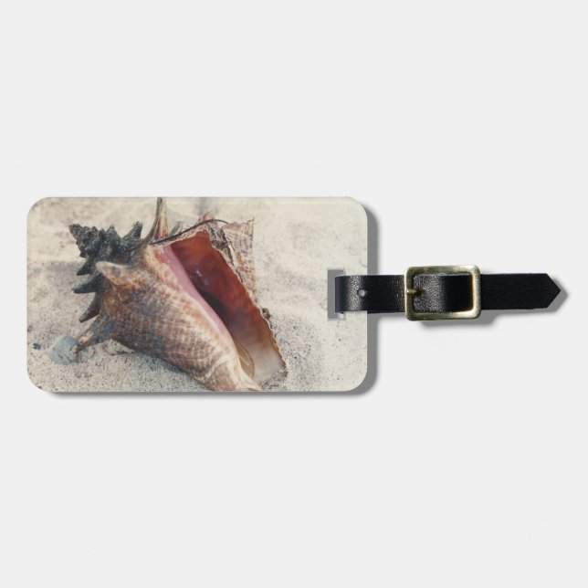 Conch Shell Luggage Tag (Front Horizontal)