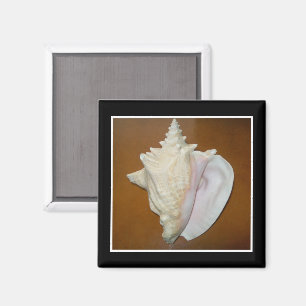 Conch Shell Magnet