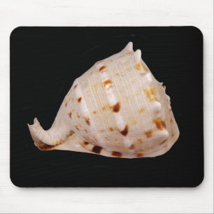 Conch Shell Mouse Mat