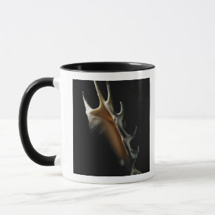 Conch shell mug
