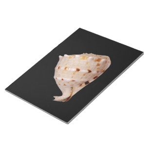 Conch Shell Notepad