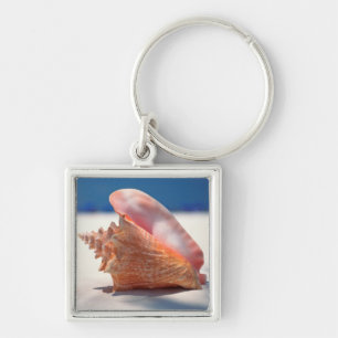 Conch Shell On Beach 2 Key Ring