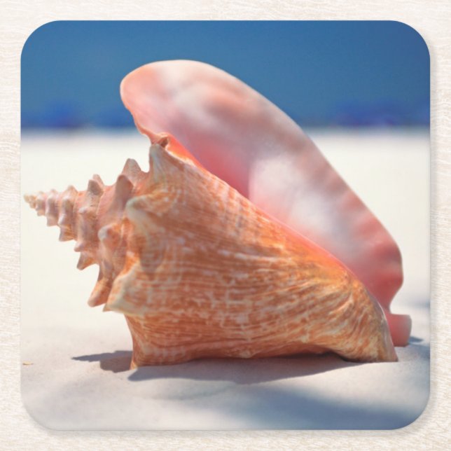 Conch Shell On Beach 2 Square Paper Coaster (Front)