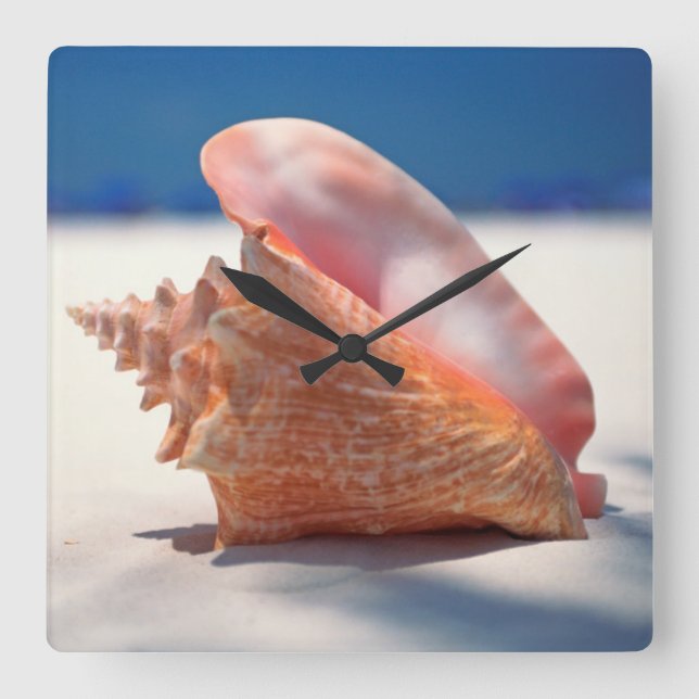 Conch Shell On Beach 2 Square Wall Clock (Front)