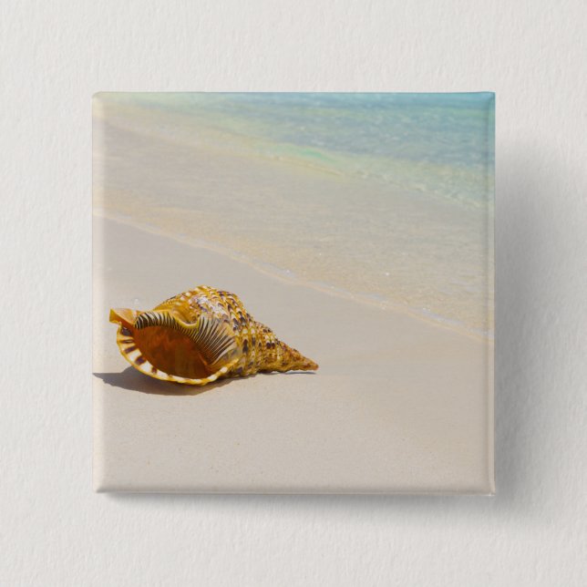 Conch Shell On Beach 3 15 Cm Square Badge (Front)
