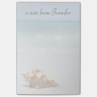 Conch Shell On Beach | Florida, St. Petersburg