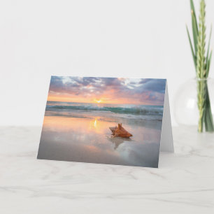 Conch Shell on the Beach   Jamaica Card