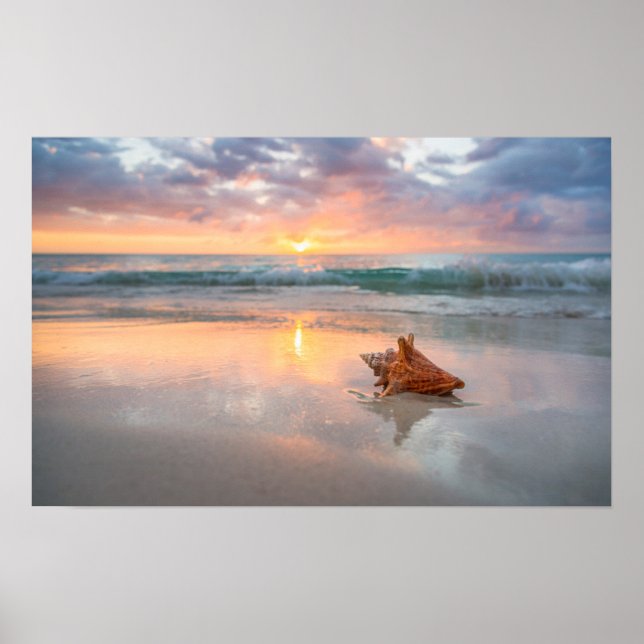 Conch Shell on the Beach | Jamaica Poster (Front)