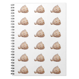 Conch Shell Photo Notebook