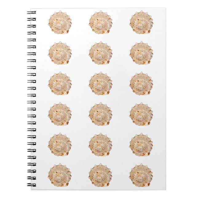 Conch Shell Photo Notebook (Front)