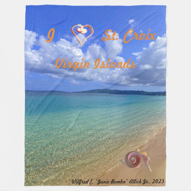 Conch Shell Sculpture Fleece Blanket (Front)