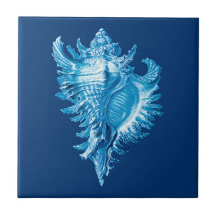 Conch Shell Sea Life Print, Indigo Blue and White Ceramic Tile