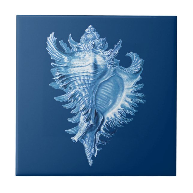 Conch Shell Sea Life Print, Indigo Blue and White Ceramic Tile (Front)