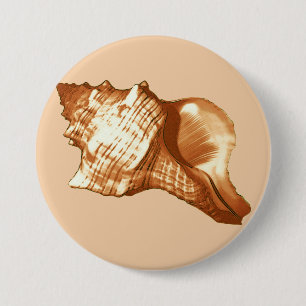 Conch shell sketch - brown, white and tan 7.5 cm round badge