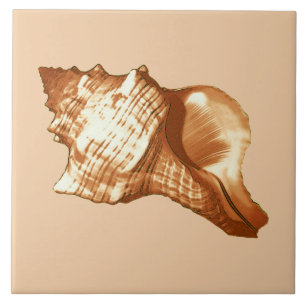 Conch shell sketch - brown, white and tan ceramic tile
